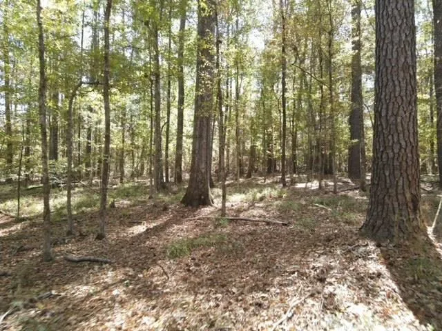 $99,000 | 2523 Berwick Castle, Liberty, MS 39645