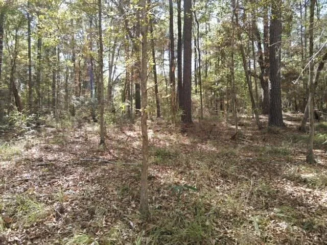 $99,000 | 2523 Berwick Castle, Liberty, MS 39645