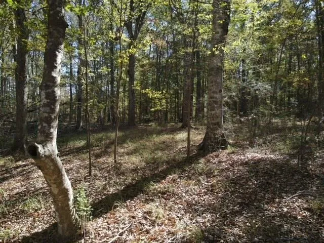 $99,000 | 2523 Berwick Castle, Liberty, MS 39645