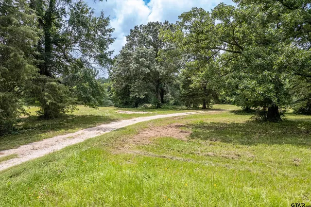 a view of outdoor space with trees all around