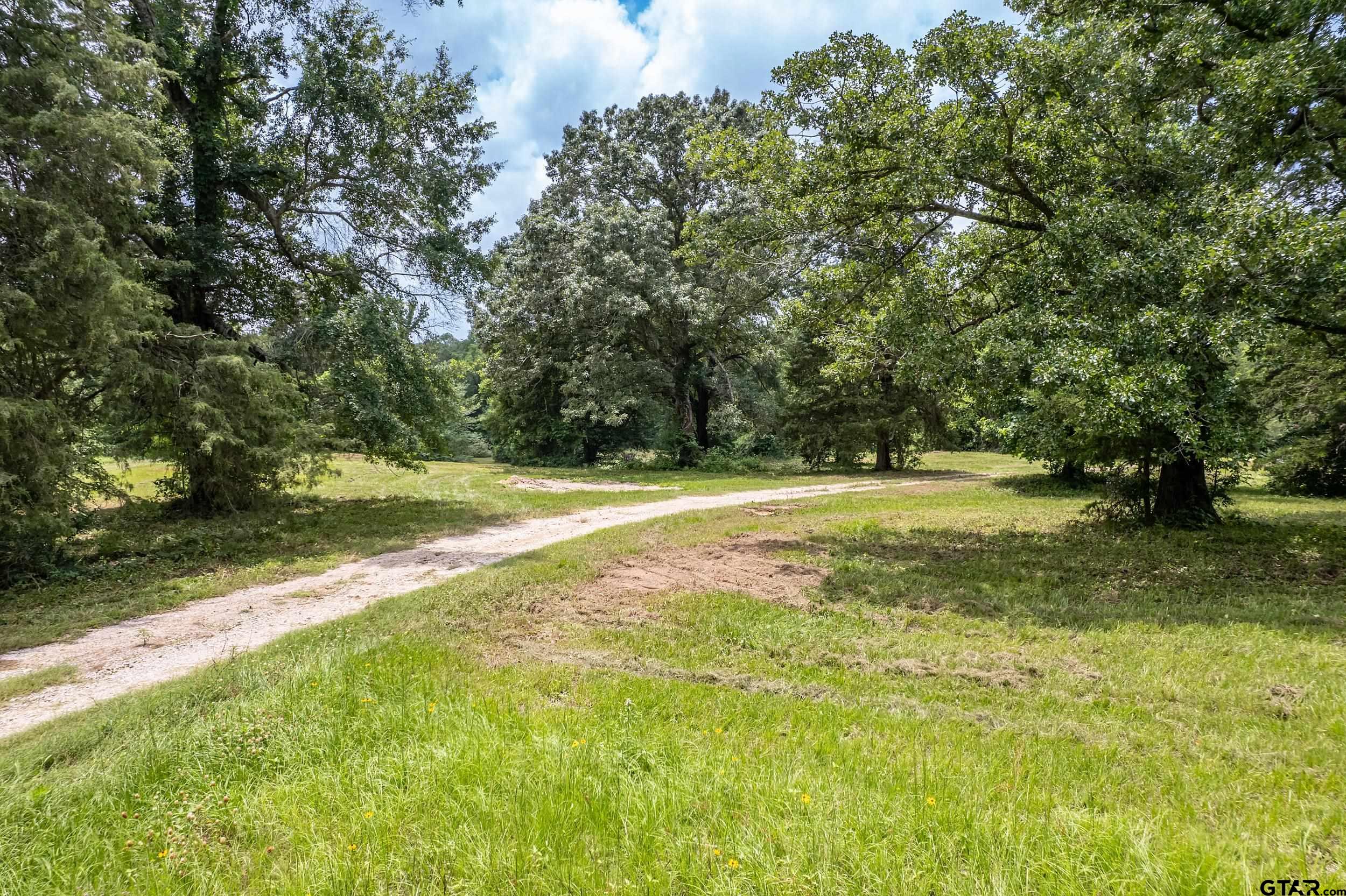 a view of outdoor space with trees all around