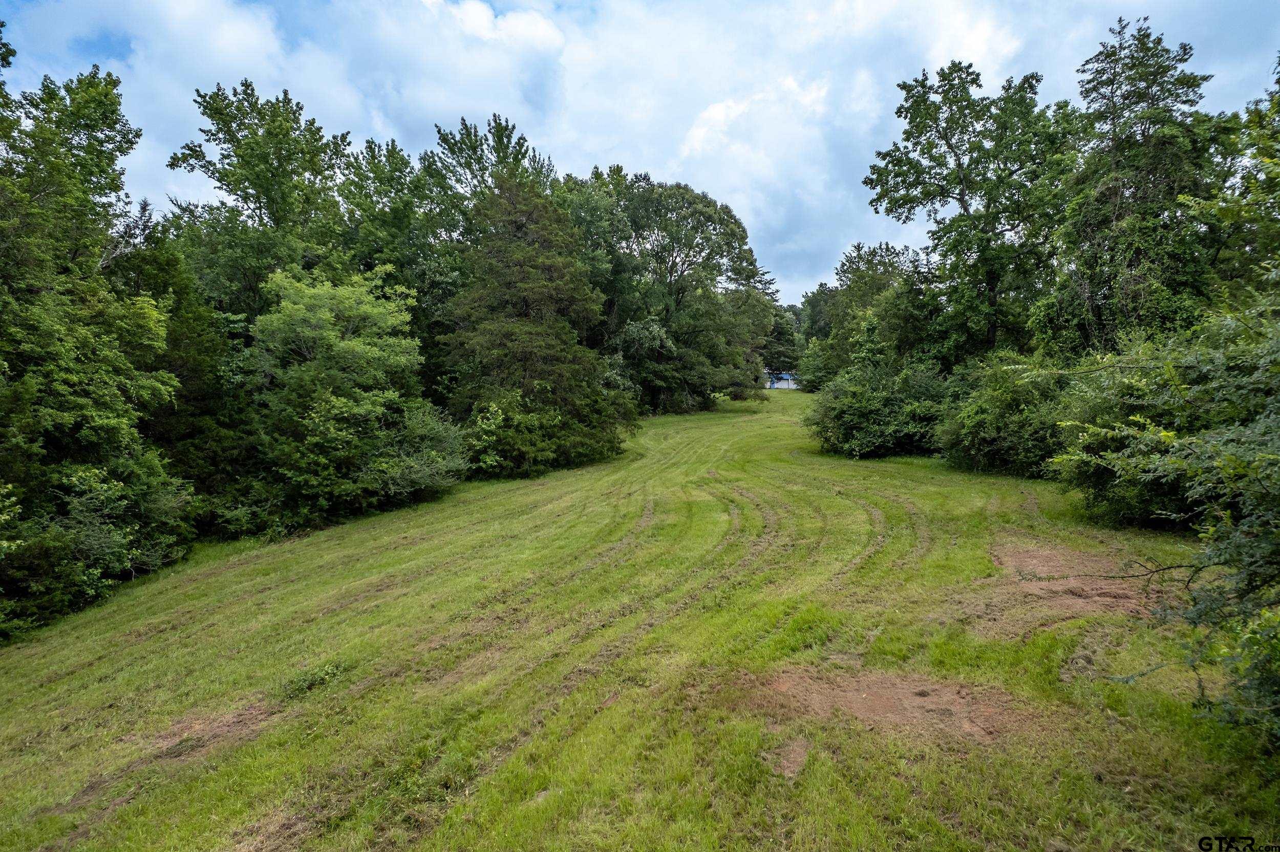 271 Tyler Tx 75708 Tyler, TX 75708 - Photo 11 of 44 a view of a yard with a tree
