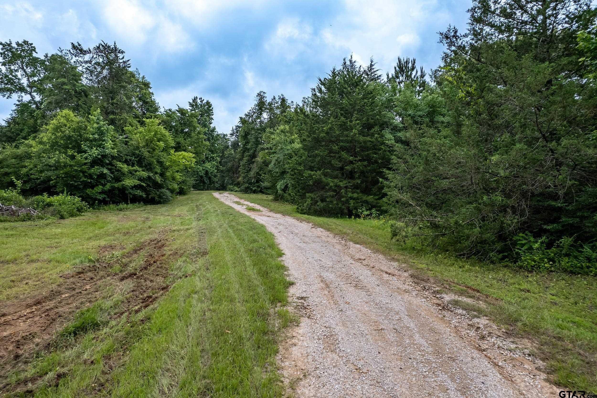 271 Tyler Tx 75708 Tyler, TX 75708 - Photo 12 of 44 a view of a road with a yard