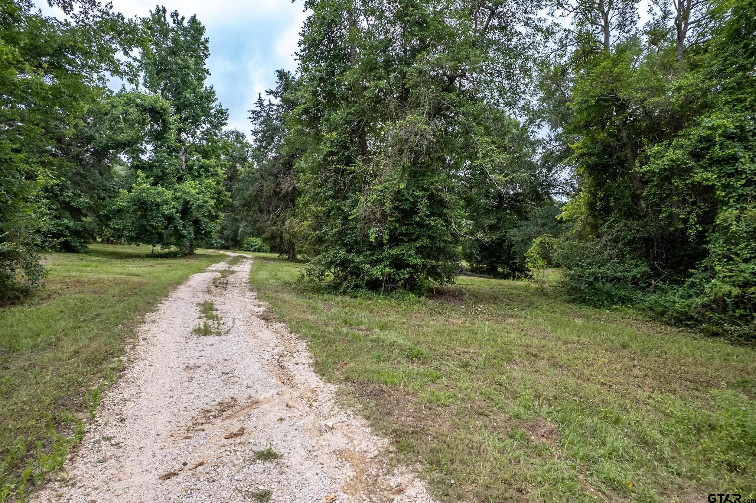 271 Tyler Tx 75708 Tyler, TX 75708 - Photo 13 of 44 a view of a dirt pathway both side of yard