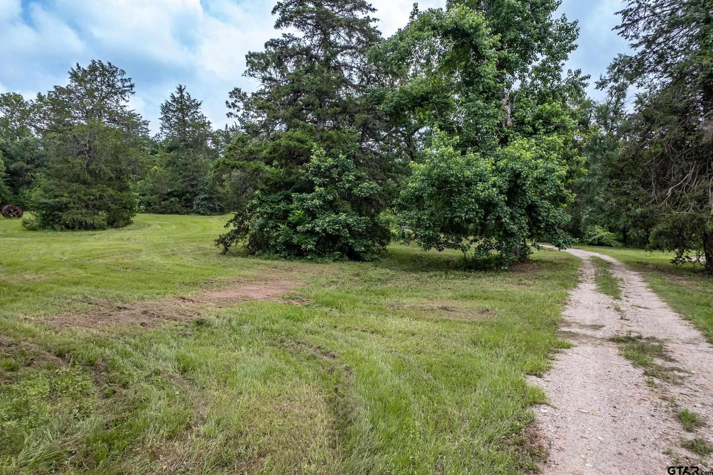 271 Tyler Tx 75708 Tyler, TX 75708 - Photo 14 of 44 a view of a yard with a tree