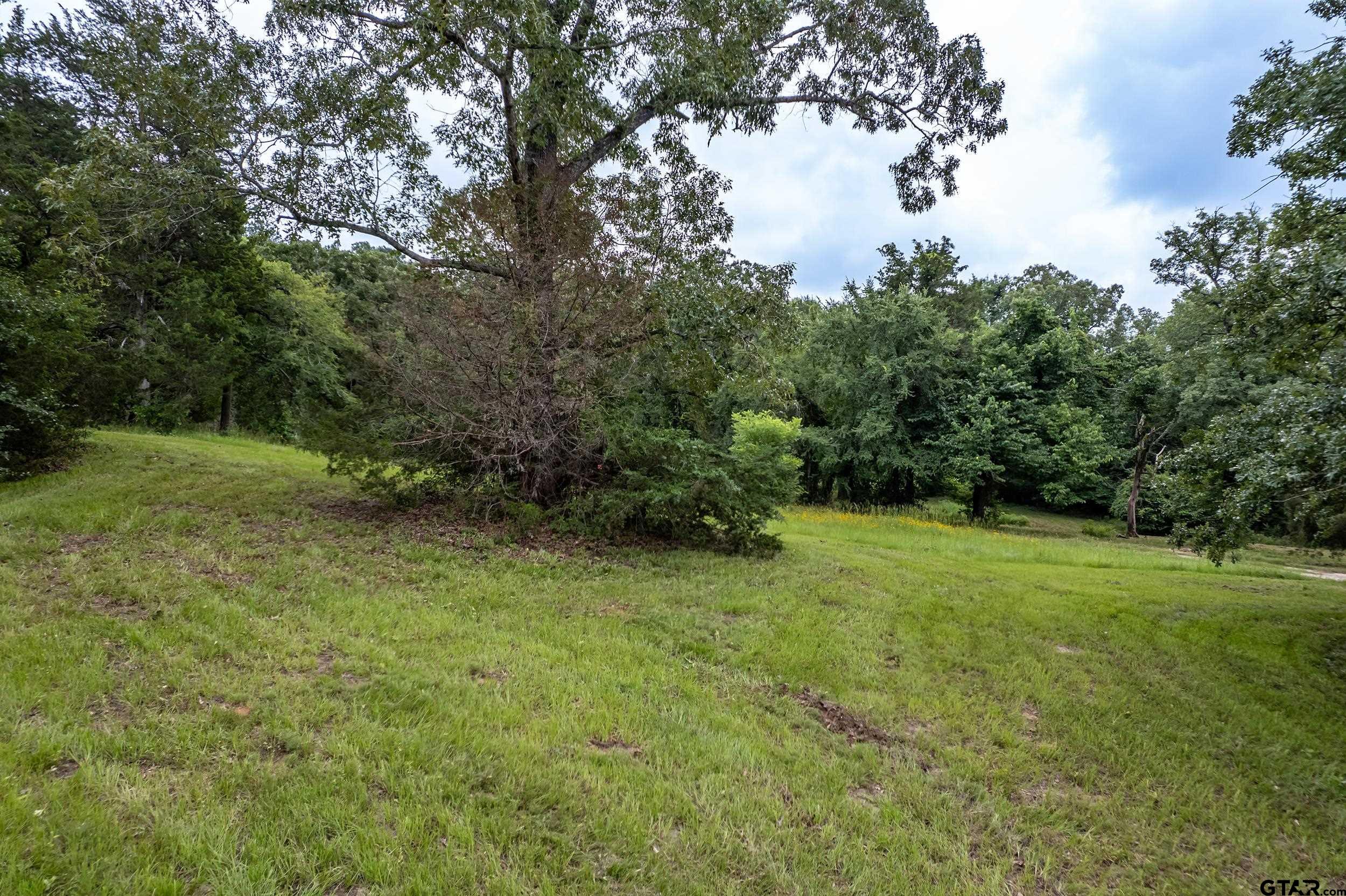 271 Tyler Tx 75708 Tyler, TX 75708 - Photo 16 of 44 a view of outdoor space and yard