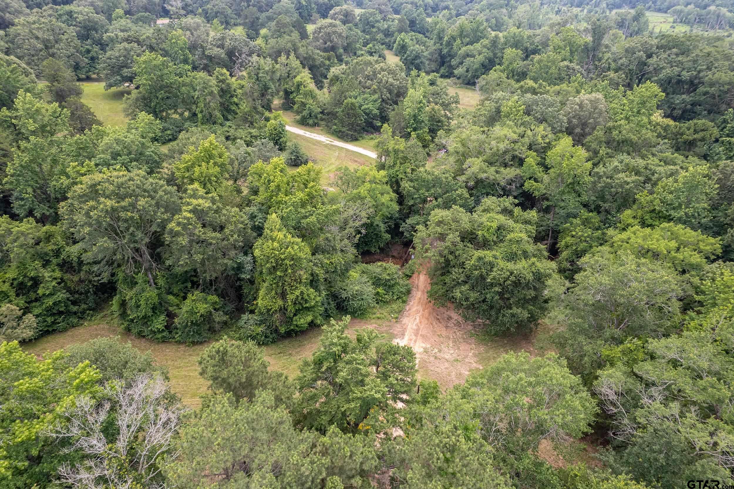 271 Tyler Tx 75708 Tyler, TX 75708 - Photo 19 of 44 an aerial view of residential house with outdoor space and trees all around
