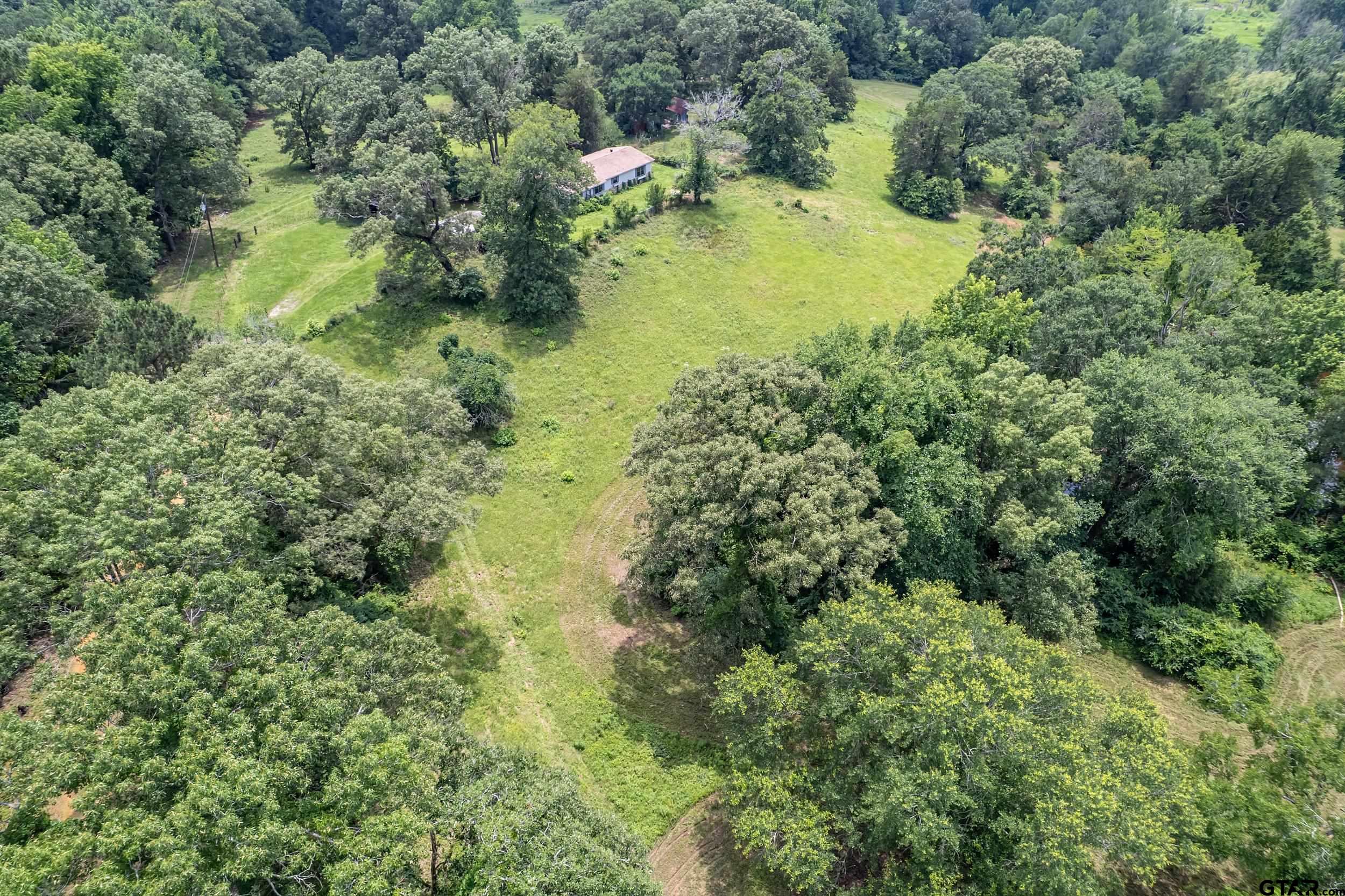 271 Tyler Tx 75708 Tyler, TX 75708 - Photo 2 of 44 a view of a forest with a houses