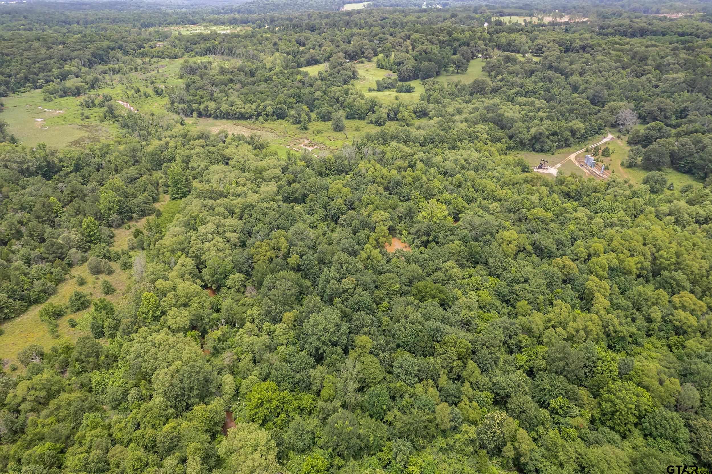 271 Tyler Tx 75708 Tyler, TX 75708 - Photo 24 of 44 a view of a forest with a street