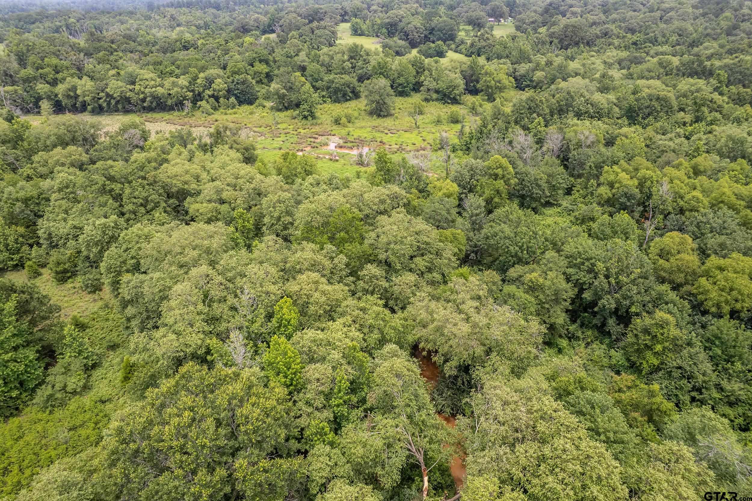271 Tyler Tx 75708 Tyler, TX 75708 - Photo 26 of 44 a view of a field of grass and trees
