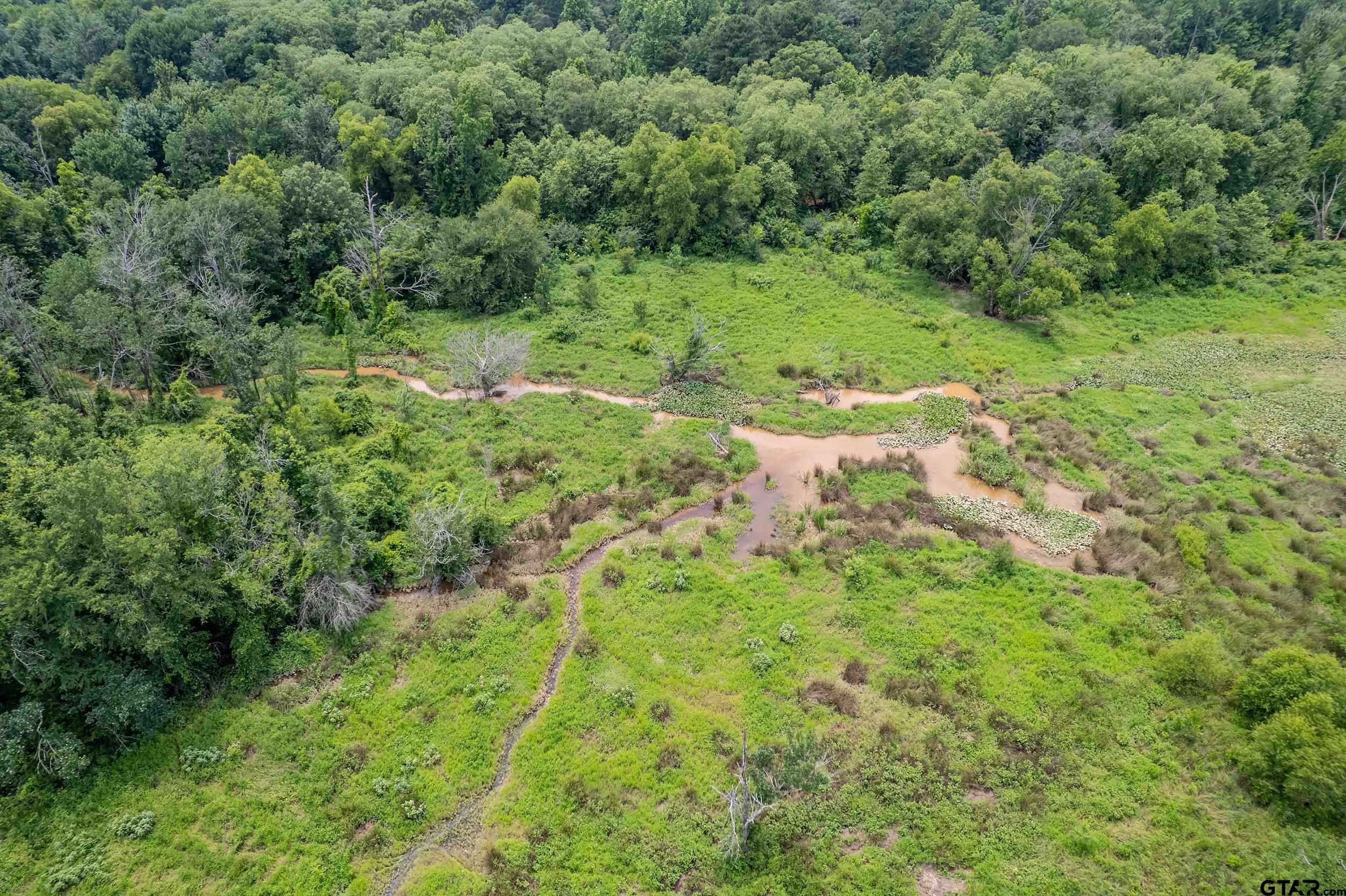 271 Tyler Tx 75708 Tyler, TX 75708 - Photo 28 of 44 a view of a lush green forest with lots of trees