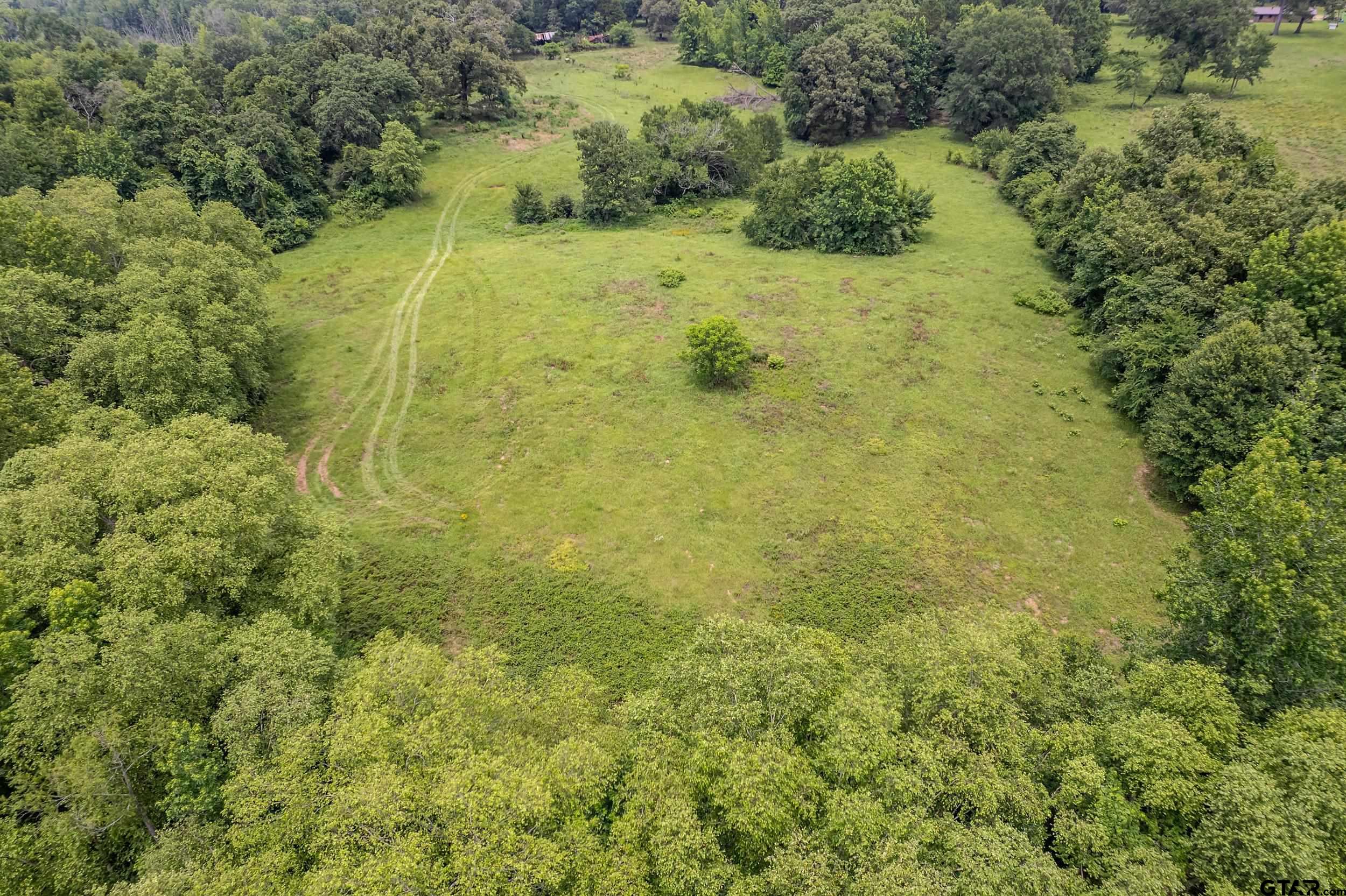 271 Tyler Tx 75708 Tyler, TX 75708 - Photo 29 of 44 a view of a yard with an trees