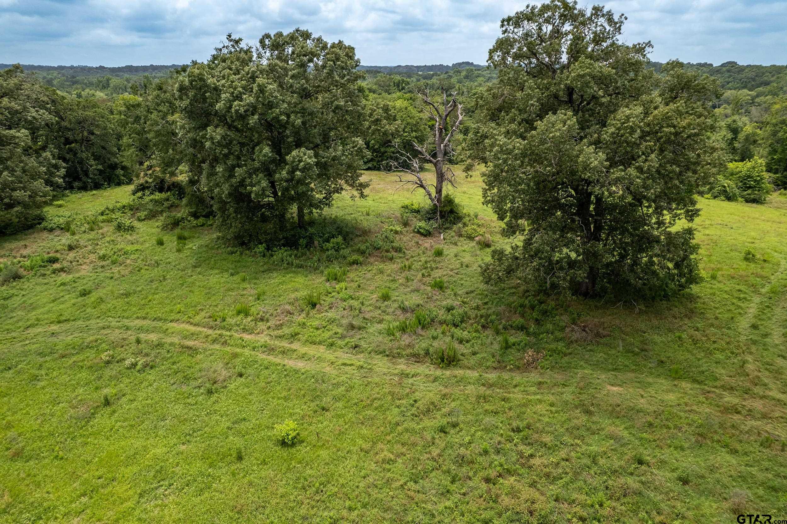 271 Tyler Tx 75708 Tyler, TX 75708 - Photo 33 of 44 a view of a big yard with large trees