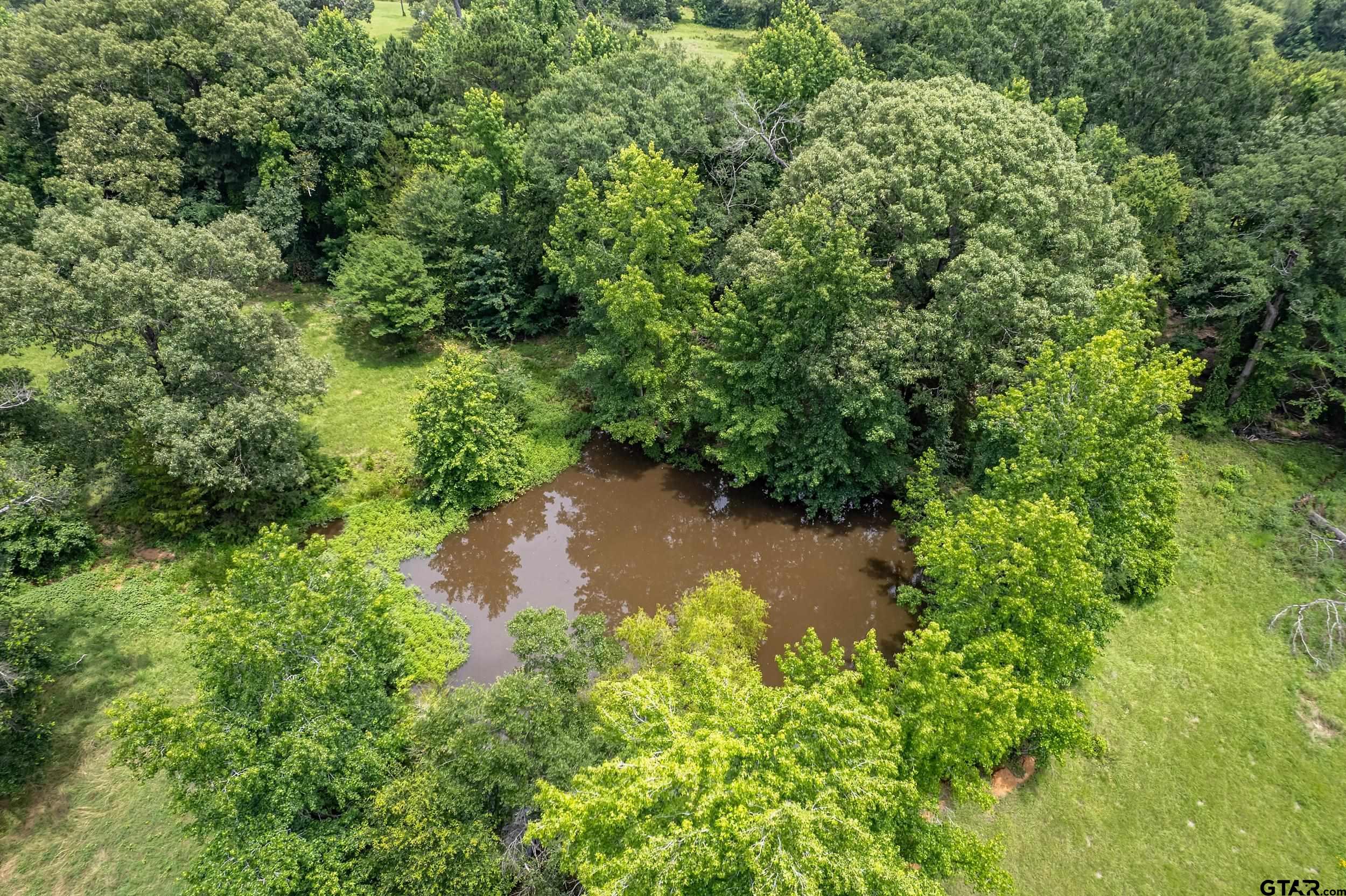 271 Tyler Tx 75708 Tyler, TX 75708 - Photo 34 of 44 a view of a water pond with green space