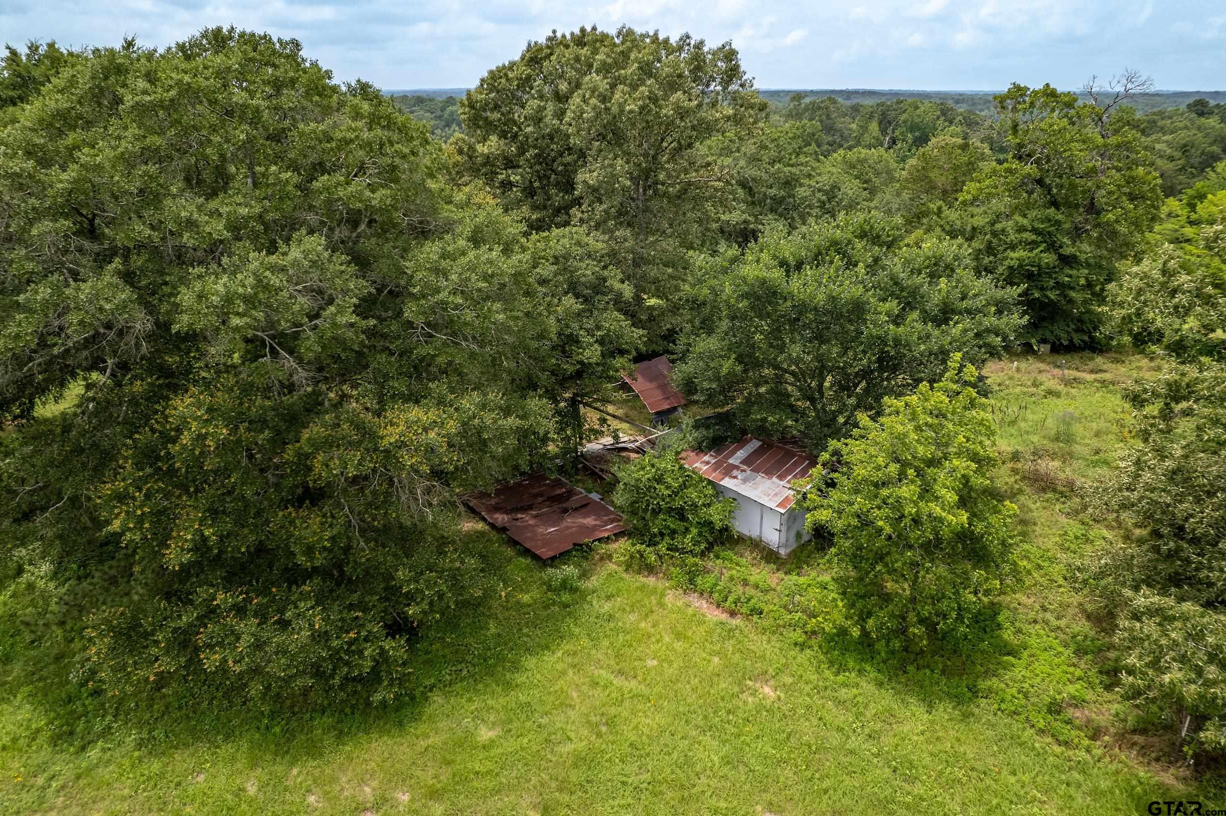 271 Tyler Tx 75708 Tyler, TX 75708 - Photo 36 of 44 a view of a lush green forest