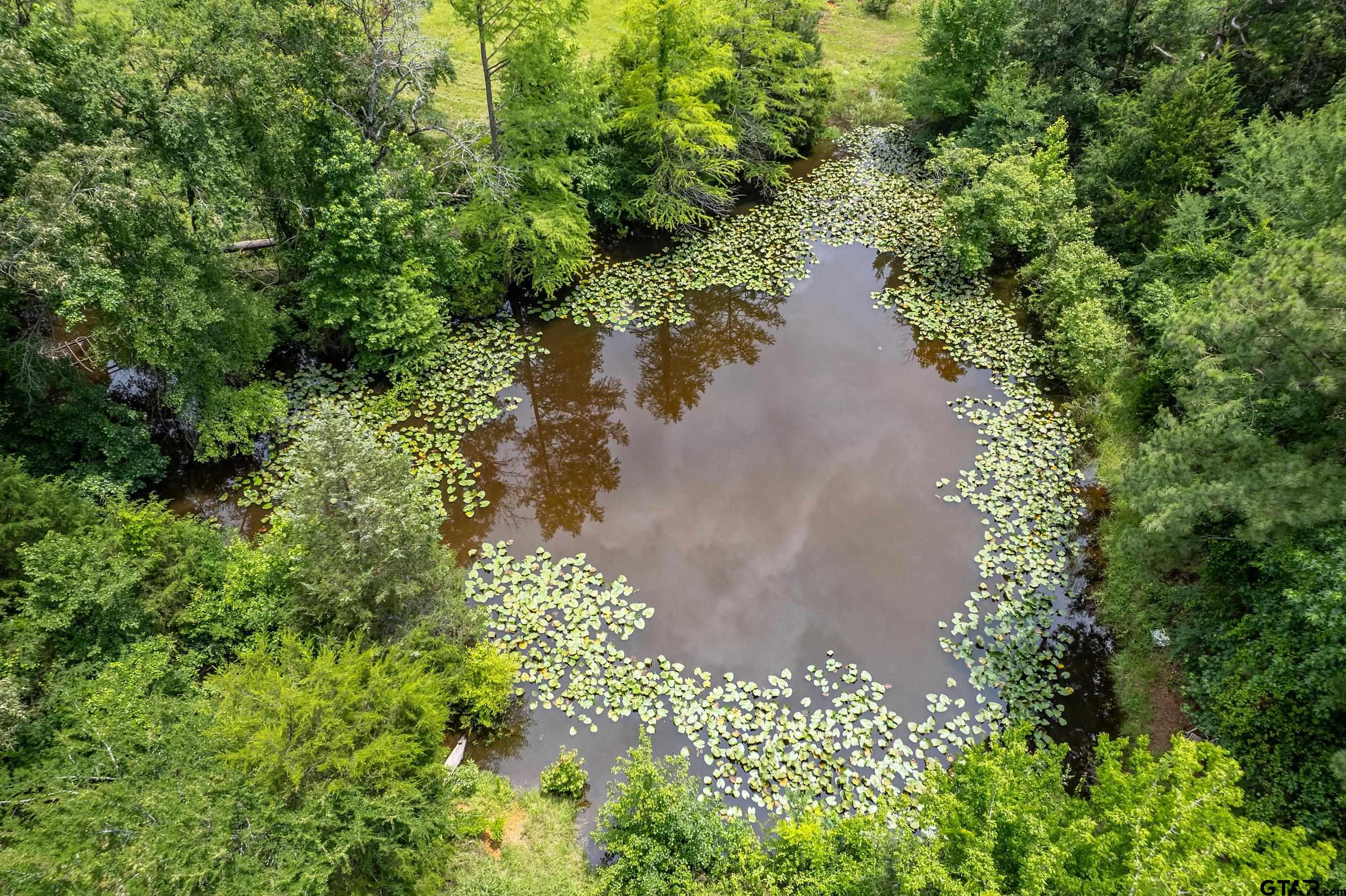 271 Tyler Tx 75708 Tyler, TX 75708 - Photo 42 of 44 a view of a pathway with a yard