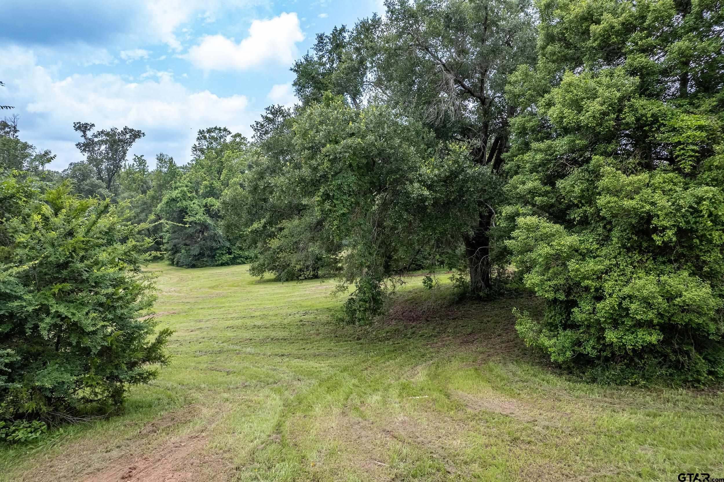 271 Tyler Tx 75708 Tyler, TX 75708 - Photo 8 of 44 a view of an trees with an outdoor space