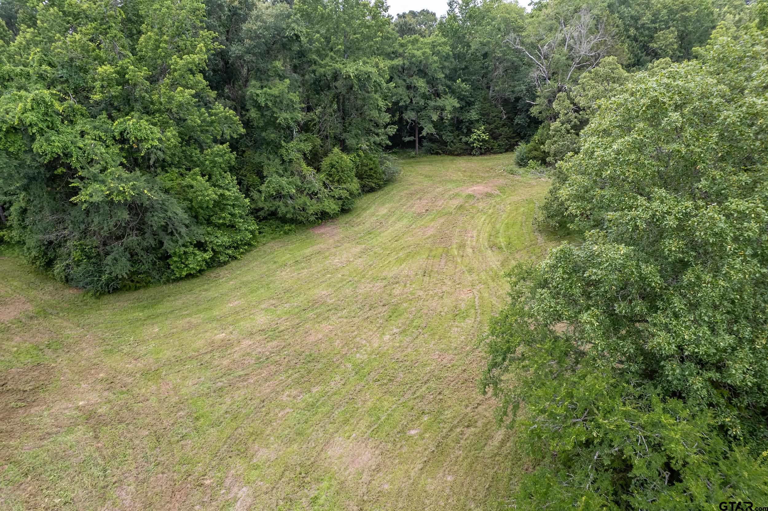 271 Tyler Tx 75708 Tyler, TX 75708 - Photo 10 of 44 a view of a yard with a tree