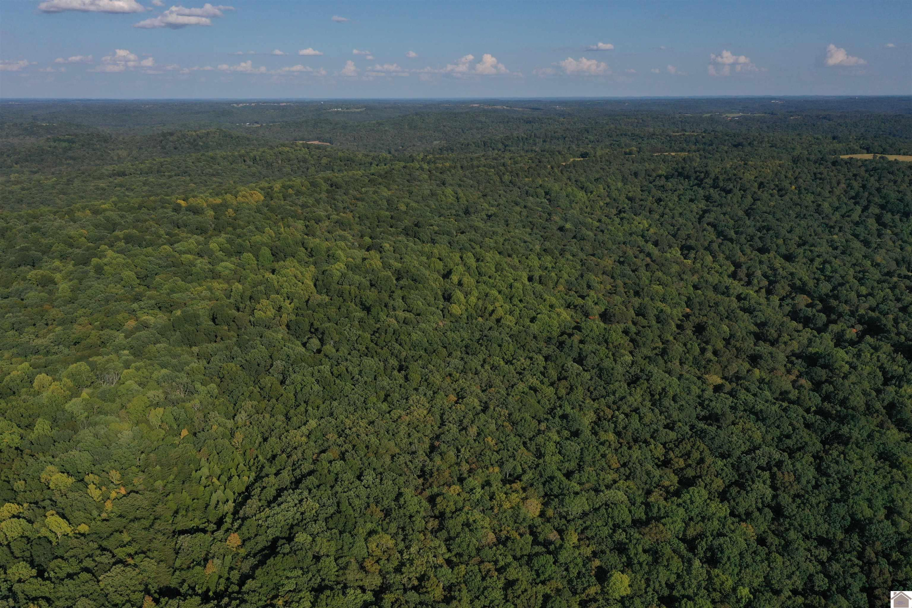 0 Herring Mill Road Elkton, KY 42220 - Photo 1 of 1 Photo 1