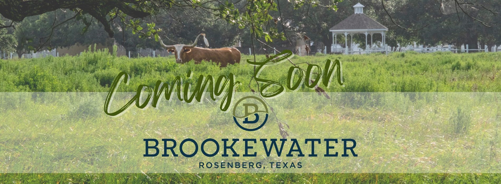 411 Blue River Trail Rosenberg, TX 77471 - Photo 36 of 37