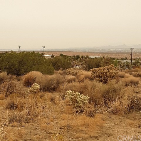 9122 Agave Road Apple Valley, CA 92308 - Photo 1 of 1 Gallery Image 1
