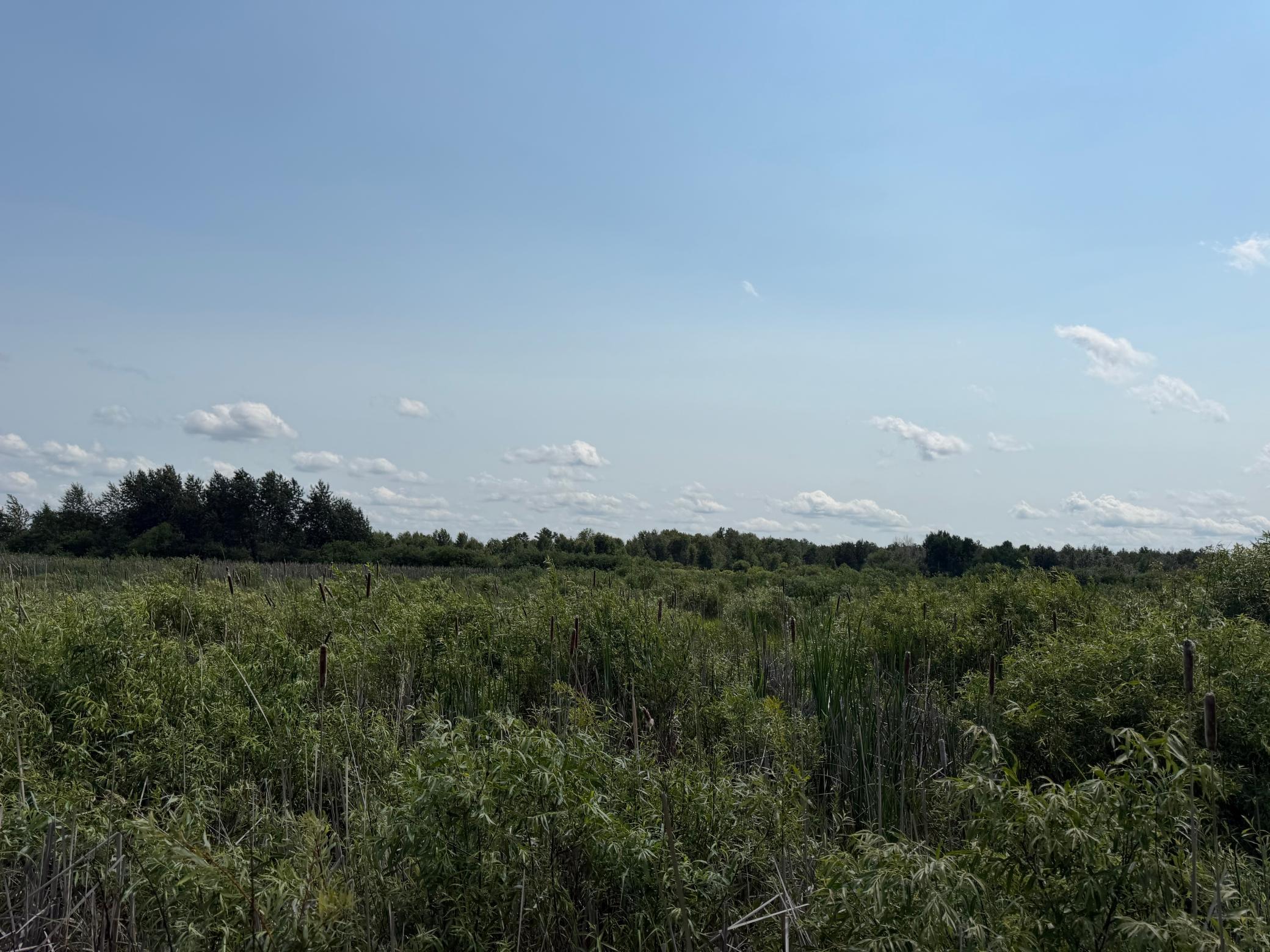 Tbd Bunny Hill Road Sebeka, MN 56477 - Photo 19 of 23