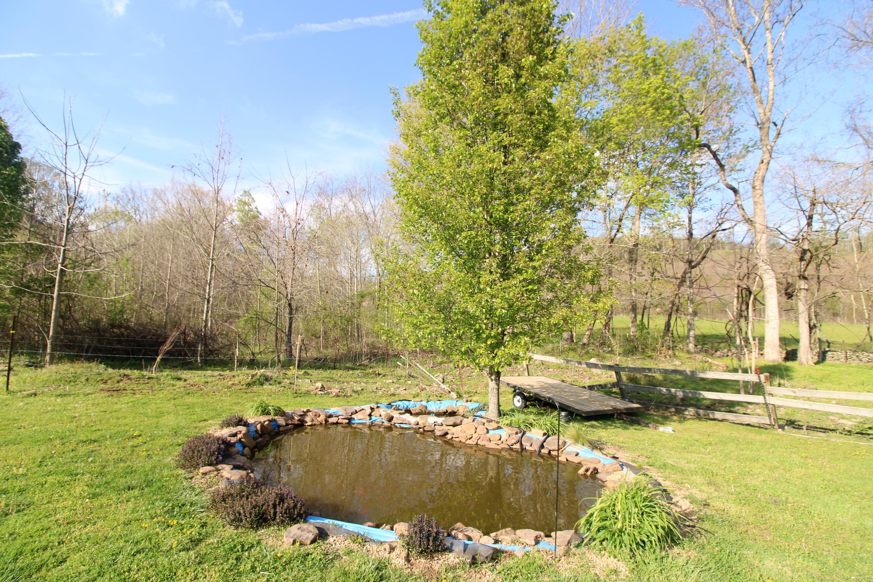 562 Dry Creek Road Duffield, VA 24244 - Photo 20 of 26 dry creek 12