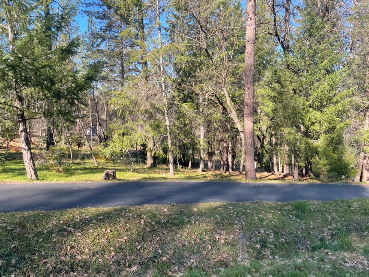 1575 Ridgemore Drive Meadow Vista, CA 95722 - Photo 2 of 20