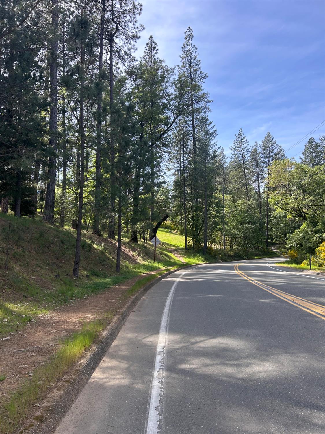 1575 Ridgemore Drive Meadow Vista, CA 95722 - Photo 5 of 30 a view of a park with large trees