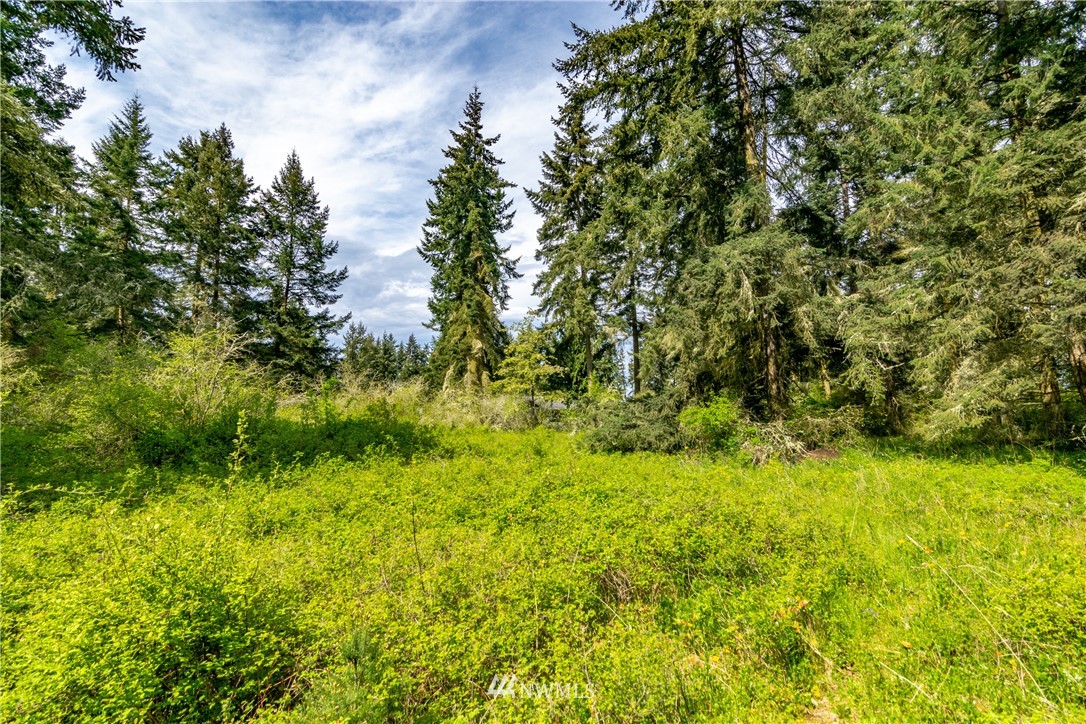 9999 Avellana Road Sequim, WA 98382 - Photo 22 of 39 Gallery Image 22