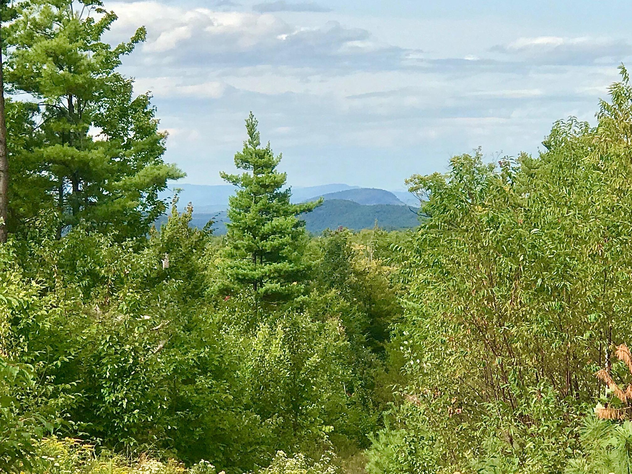 0 Kennard Hill Road Porter, ME 04068 - Photo 1 of 10 IMG_1626