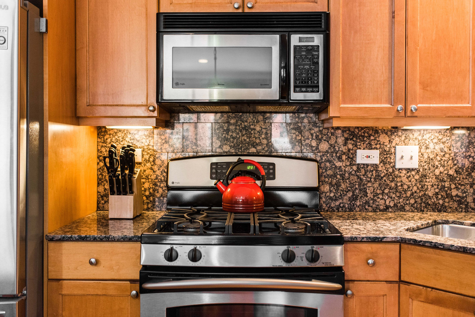 1921 South State Street, Unit 2 Chicago, IL 60616 - Photo 7 of 30