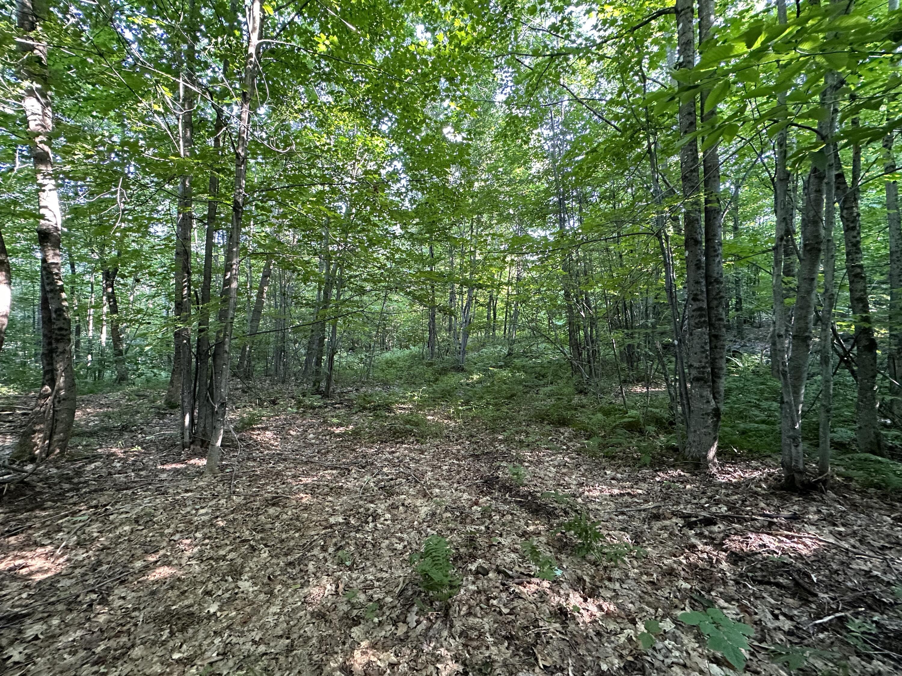 20 A Borough Road Chesterville, ME 04938 - Photo 19 of 35 TAEDZnNyRg63tqp66vVDBw