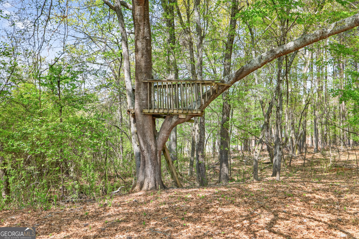 1121 Deer Trail Bishop, GA 30621 - Photo 65 of 98