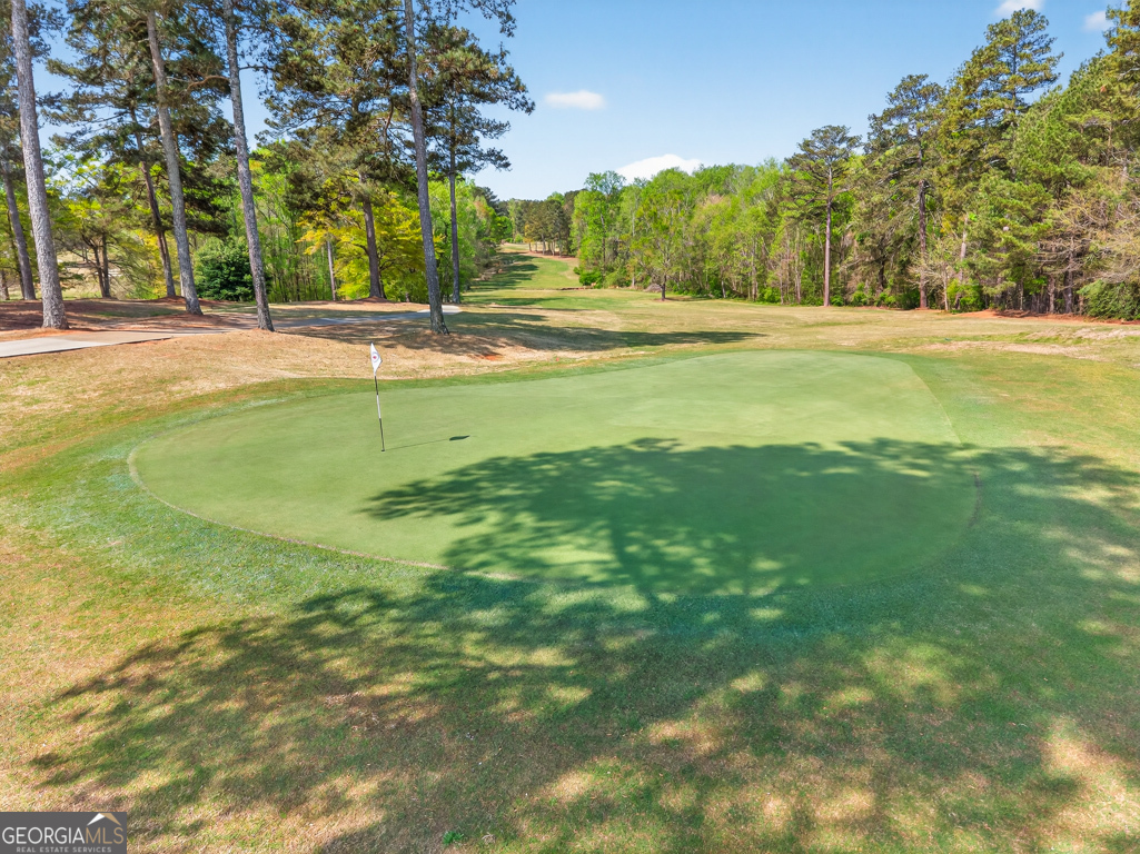 1121 Deer Trail Bishop, GA 30621 - Photo 78 of 98