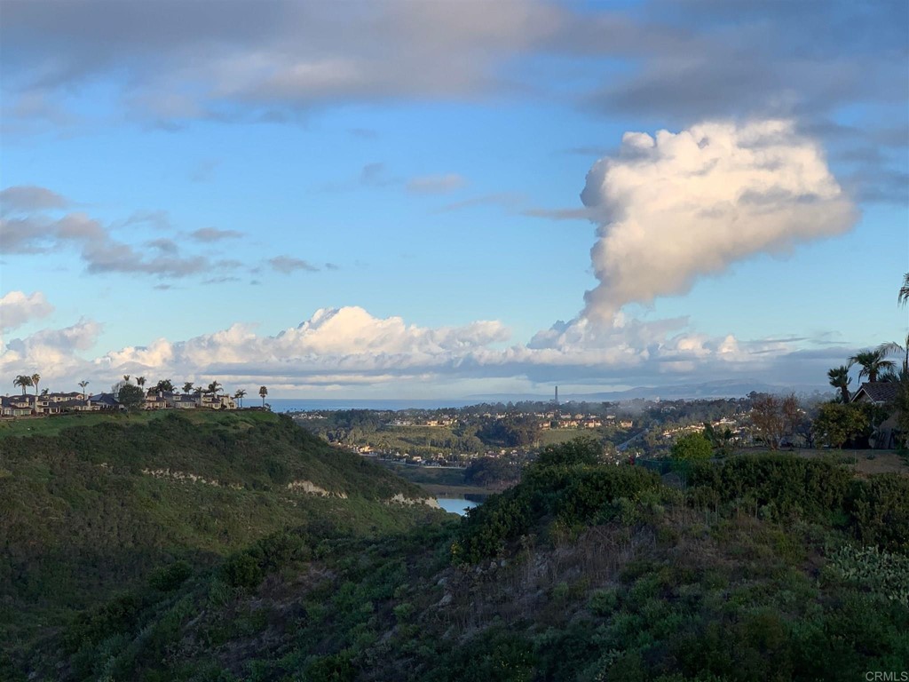 1784 Hawk View Drive Encinitas, CA 92024 - Photo 3 of 71