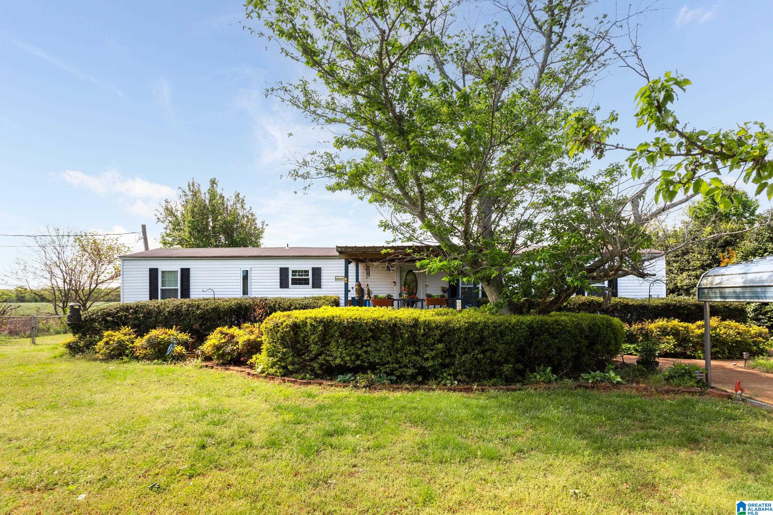 230 Tiffany Lane Ohatchee, AL 36271 - Photo 1 of 29