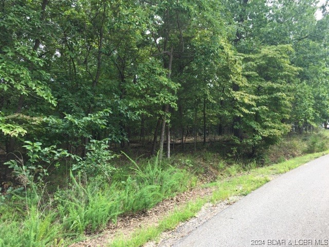 Camelot Building Lot