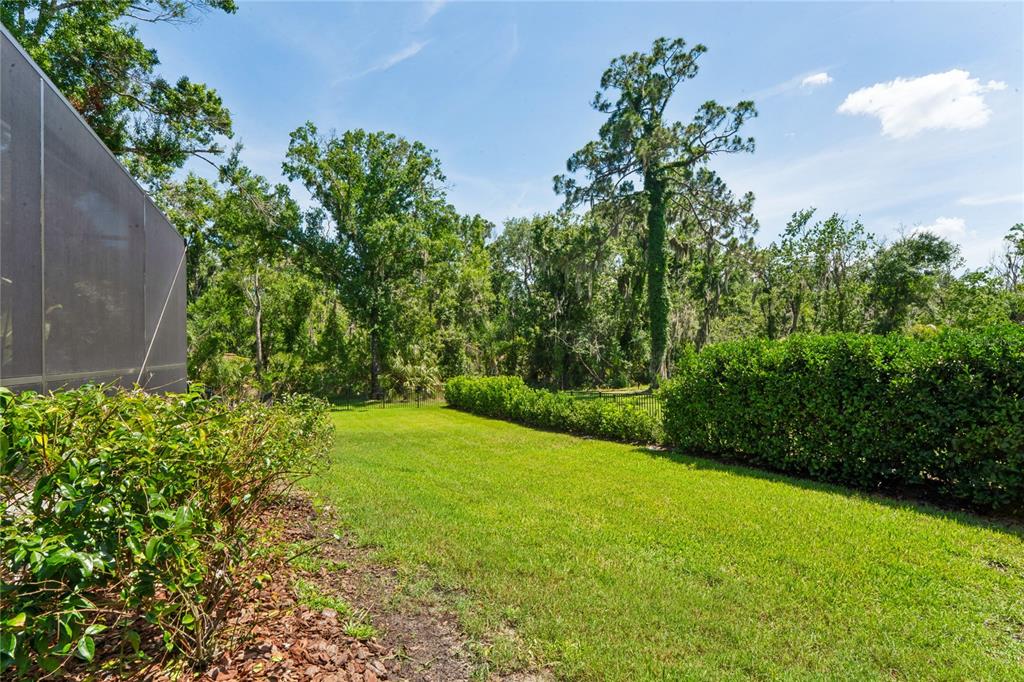 1087 Riverside Ridge Road Tarpon Springs, FL 34688 - Photo 78 of 96 Gallery Image 78