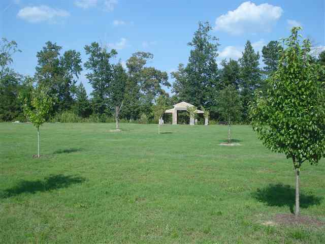 2131 Bakers Chapel Road Aynor, SC 29511 - Photo 13 of 15 Gallery Image 13
