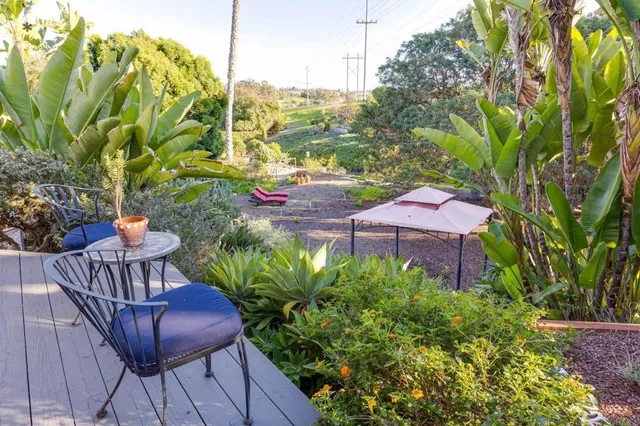 a potted plant sitting in front of a building