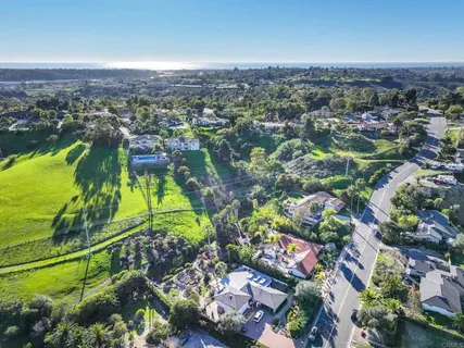 a view of a flower in a garden