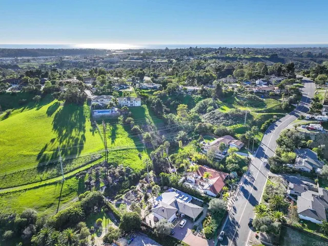 a view of a flower in a garden