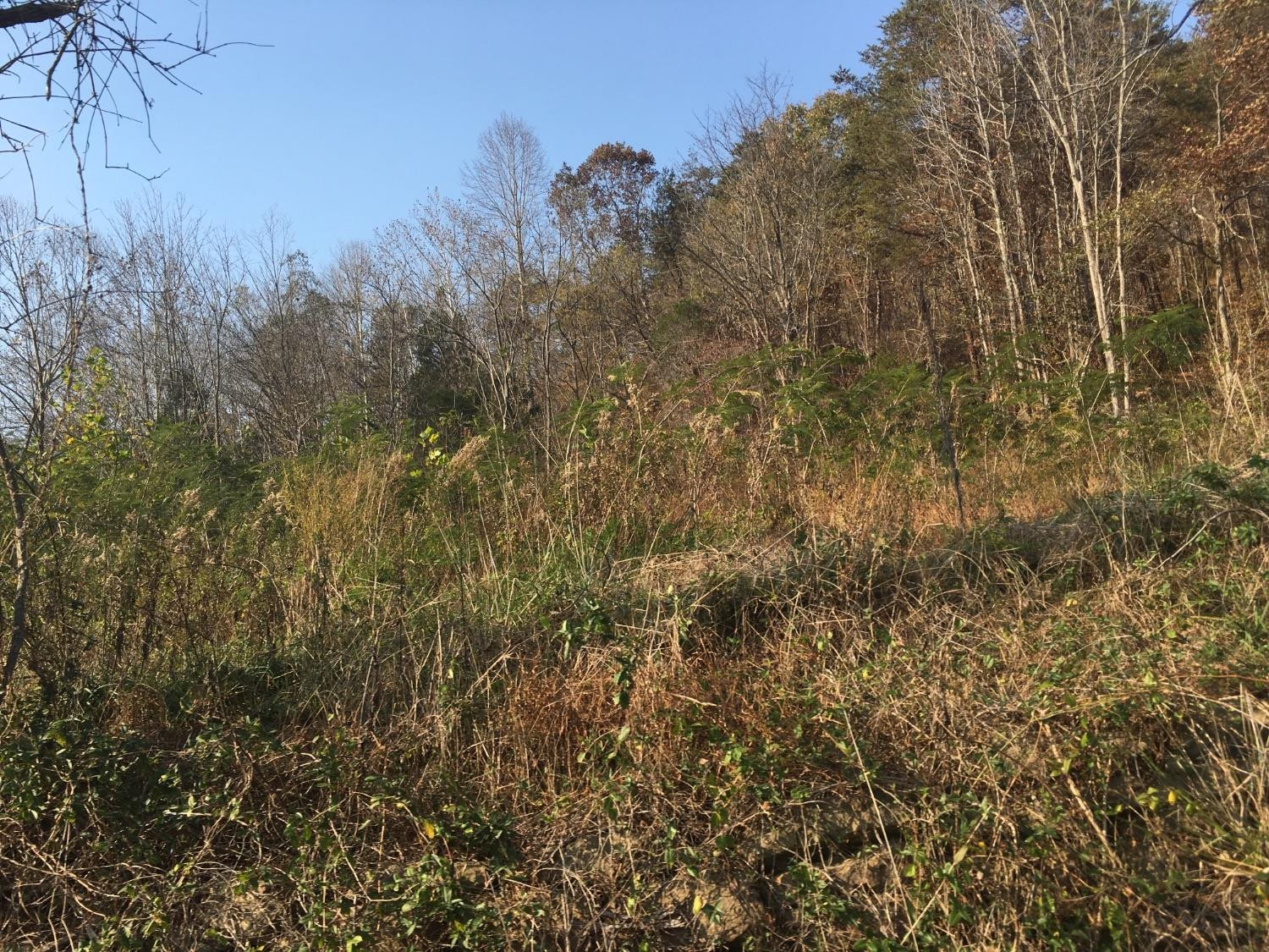 1133 Cane Creek Road Stanton, KY 40380 - Photo 19 of 22 Photo 19