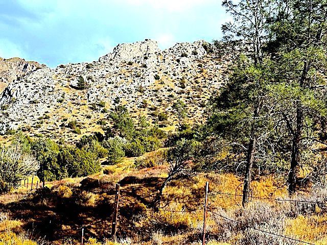 Tice Rd Lake Mountain Mesa, CA 93240 - Photo 10 of 18