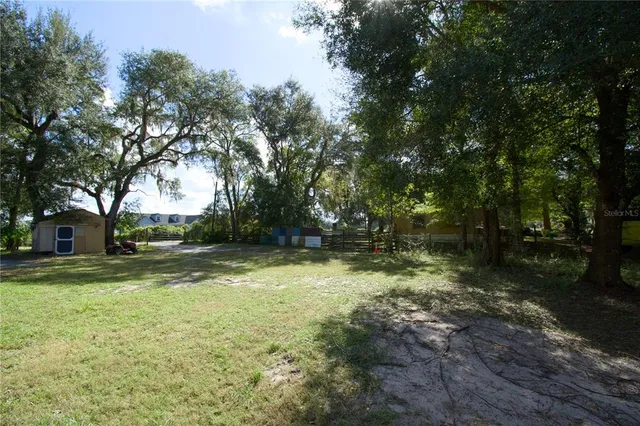 a view of a yard with a tree