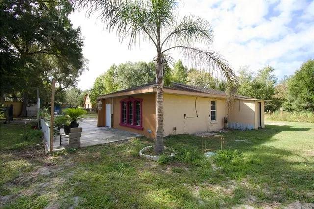 a view of a backyard with a large tree