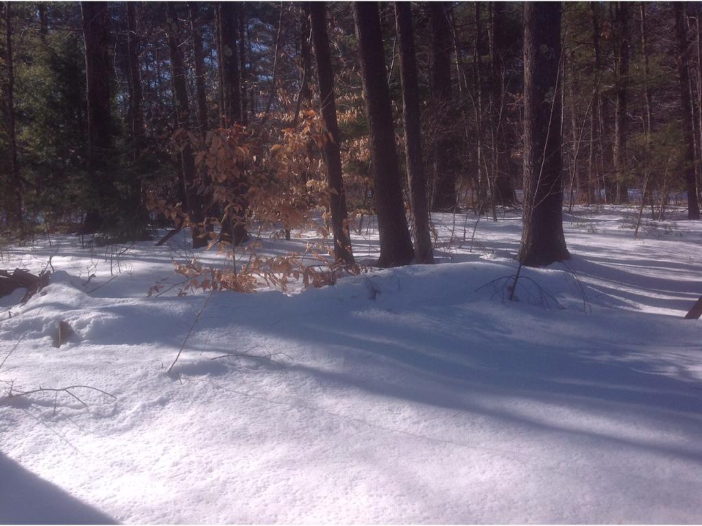 92 Fogarty Road Barrington, NH 03825 - Photo 12 of 14 Gallery Image 12