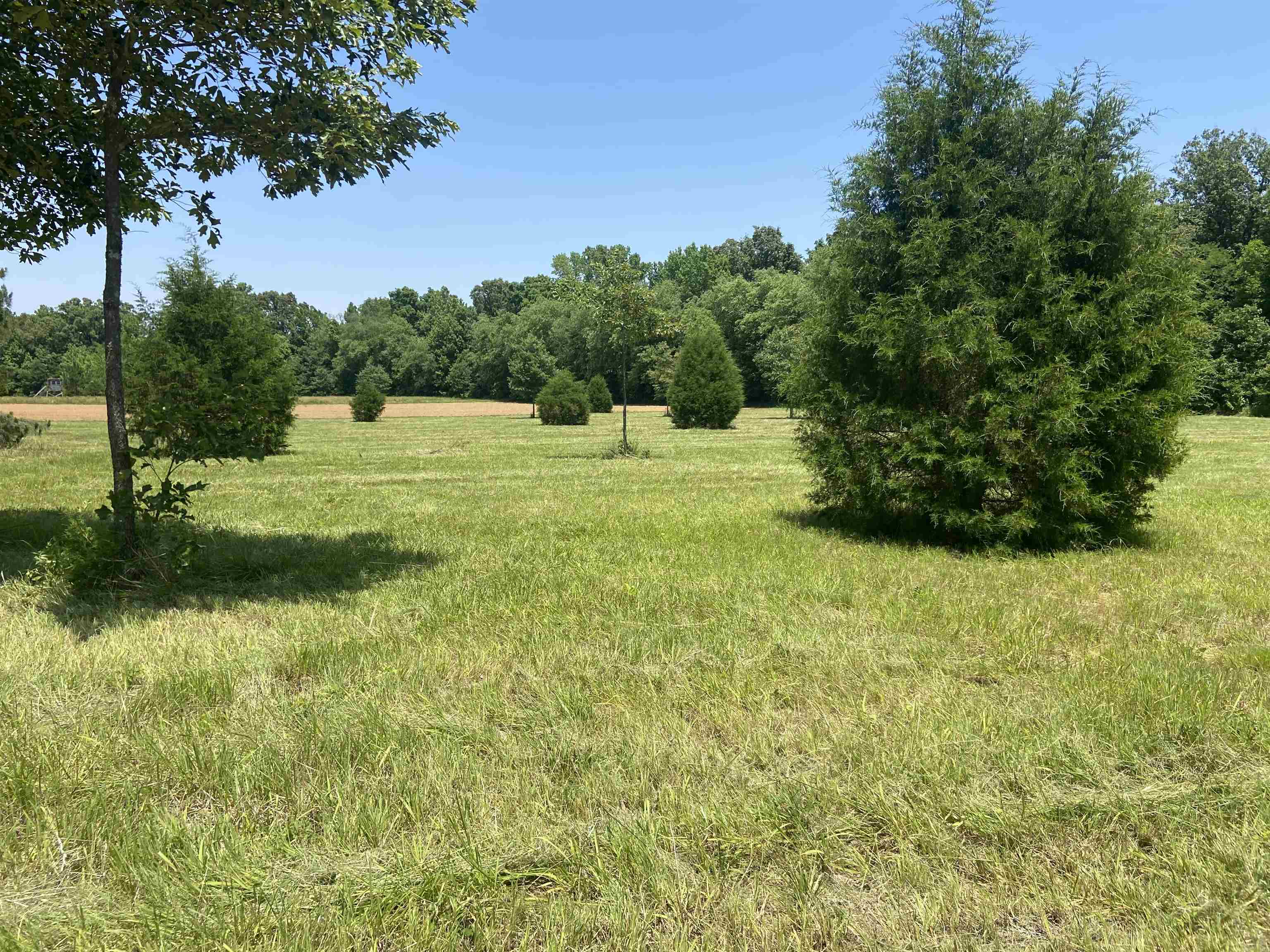 a view of an outdoor space and yard