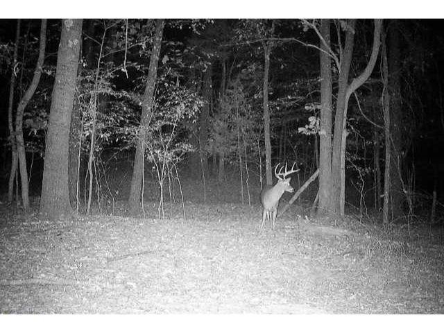 0 Bruce Road Whiteville, TN 38075 - Photo 12 of 18 a view of outdoor space with seating area